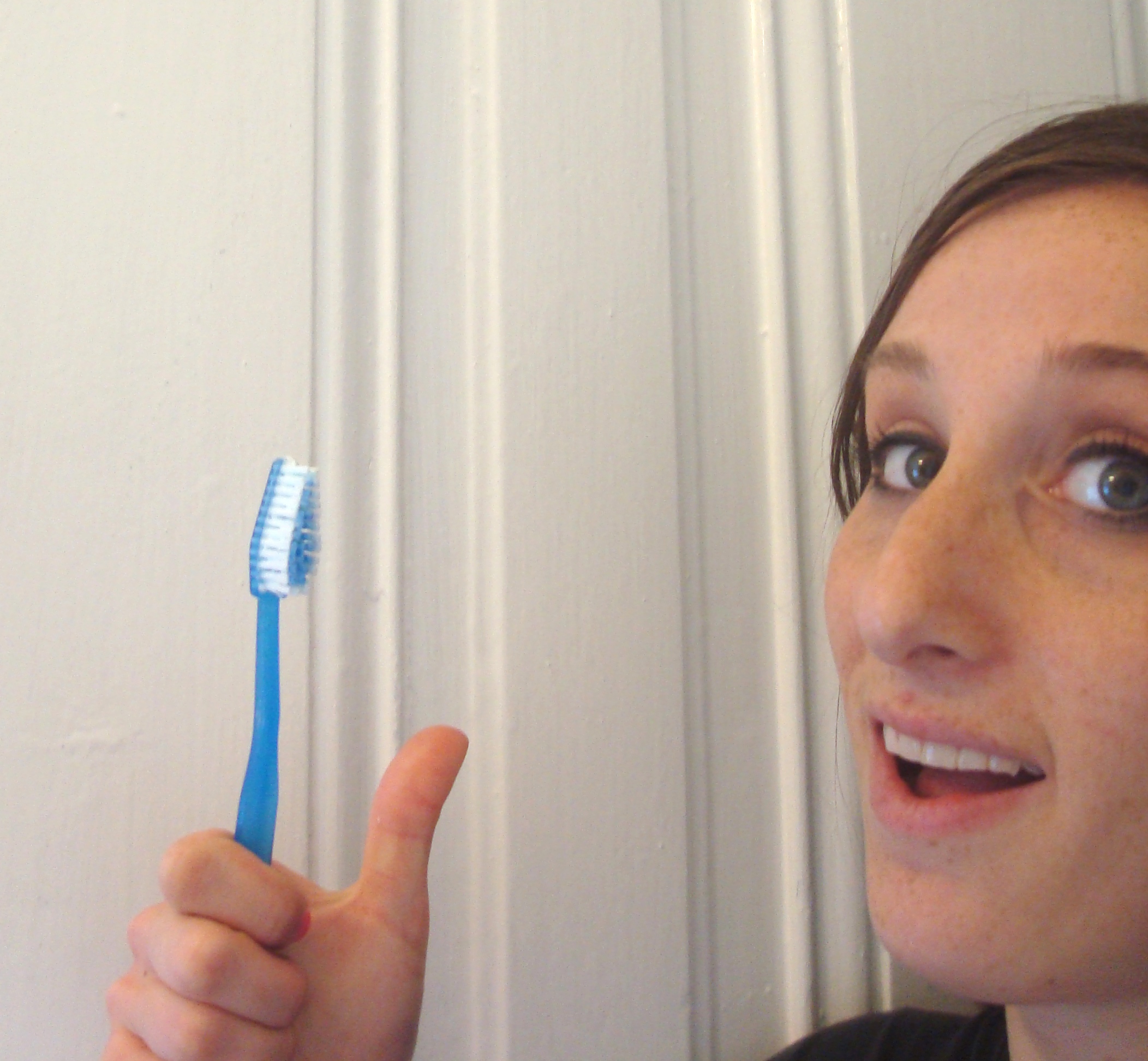 Toothbrush On Fur Pie